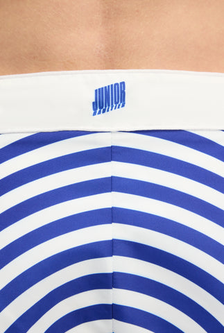 The Blue Target Swimming Briefs